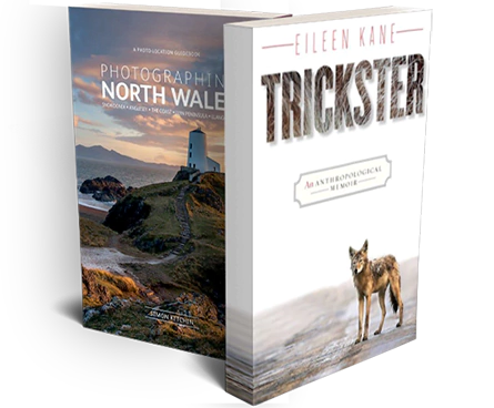 Premium Book Publisher